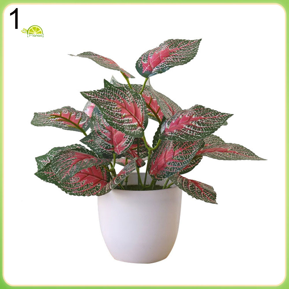 พืชใบประดิษฐ์กระถางบอนไซงานแต่งงาน Home Mall โต๊ะตกแต่งสํานักงาน