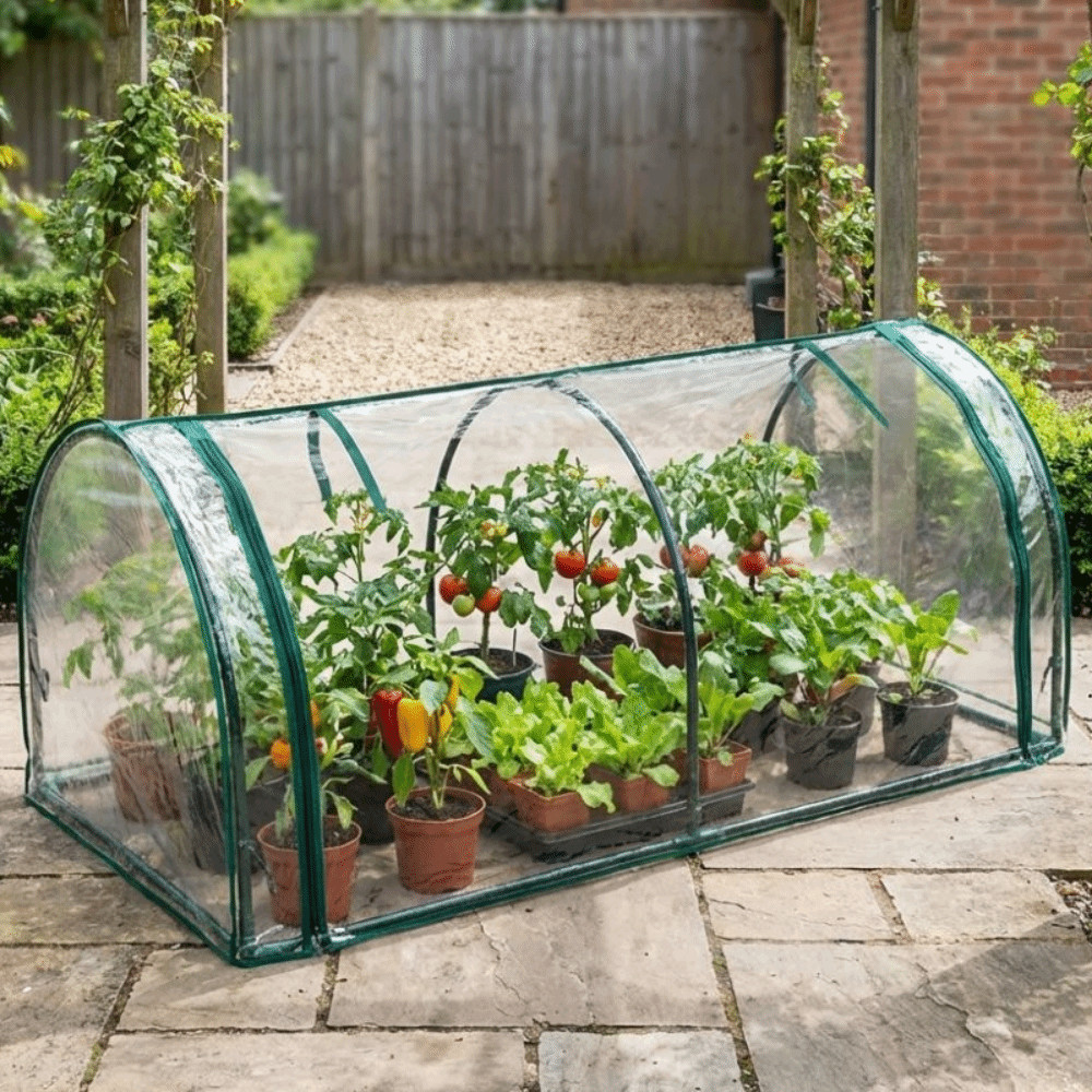 Thumbnail 8