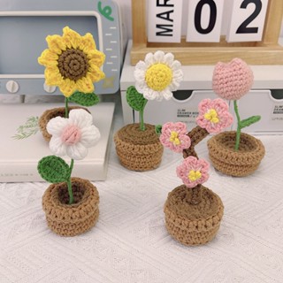 TIKTOK Handmade Knitting Flower Weaving Potted Plant Crochet Floral Decoration DIY