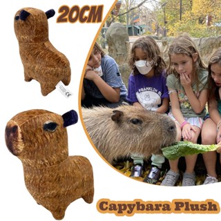 Capybara ผ้ากํามะหยี่ขนนิ่ม รูปตุ๊กตา เหมือนจริง ขนาด 20x20 ซม. สําหรับเก็บสะสม