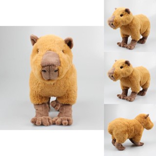 ตุ๊กตานุ่ม รูปการ์ตูนสัตว์ Capybara กอดไม่ไหว