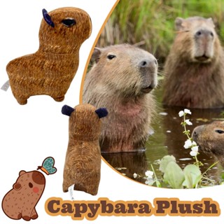 Capybara ของเล่นนุ่มนิ่ม ของขวัญวันเกิด 20*20 ซม.