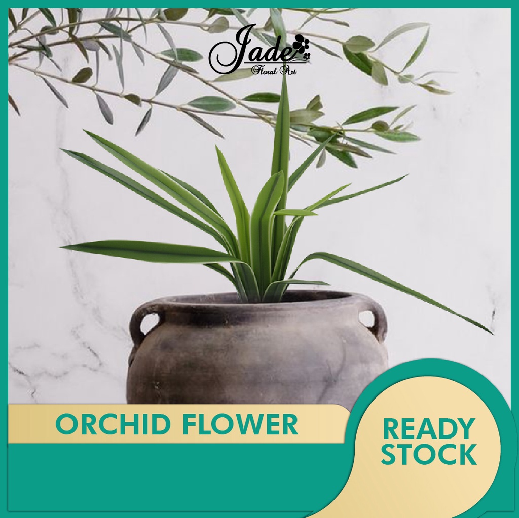โล๊ะ !! DAUN PANDAN / ใบ ORCHID / ใบ ORCHID ยาว / น้ํายาง OrchID / LF4442