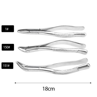 Stainless Steel Dental Tool Pliers Extracting Pliers for Adults