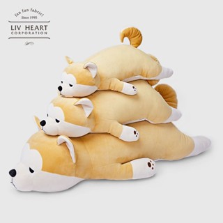 ของเล่น✨ ในสต็อก ✨หมอนตุ๊กตาสุนัข LIVHEART Akita Inu สไตล์ญี่ปุ่น ของเล่นสําหรับเด็กผู้หญิง ตุ๊กตา ของเล่นตุ๊กตา