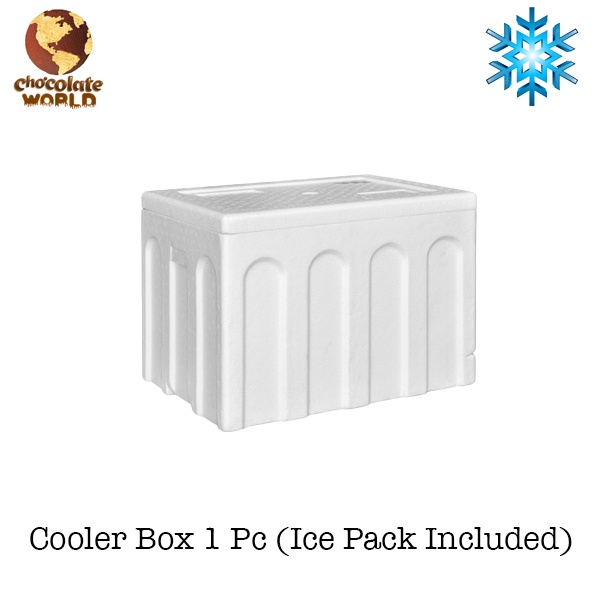 Cooler Box Mini 1 Pc (มาพร้อมแพ็คน้ําแข็ง)