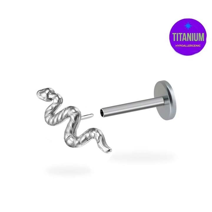 Snake Flatback Titanium Earring (1ชิ้น)