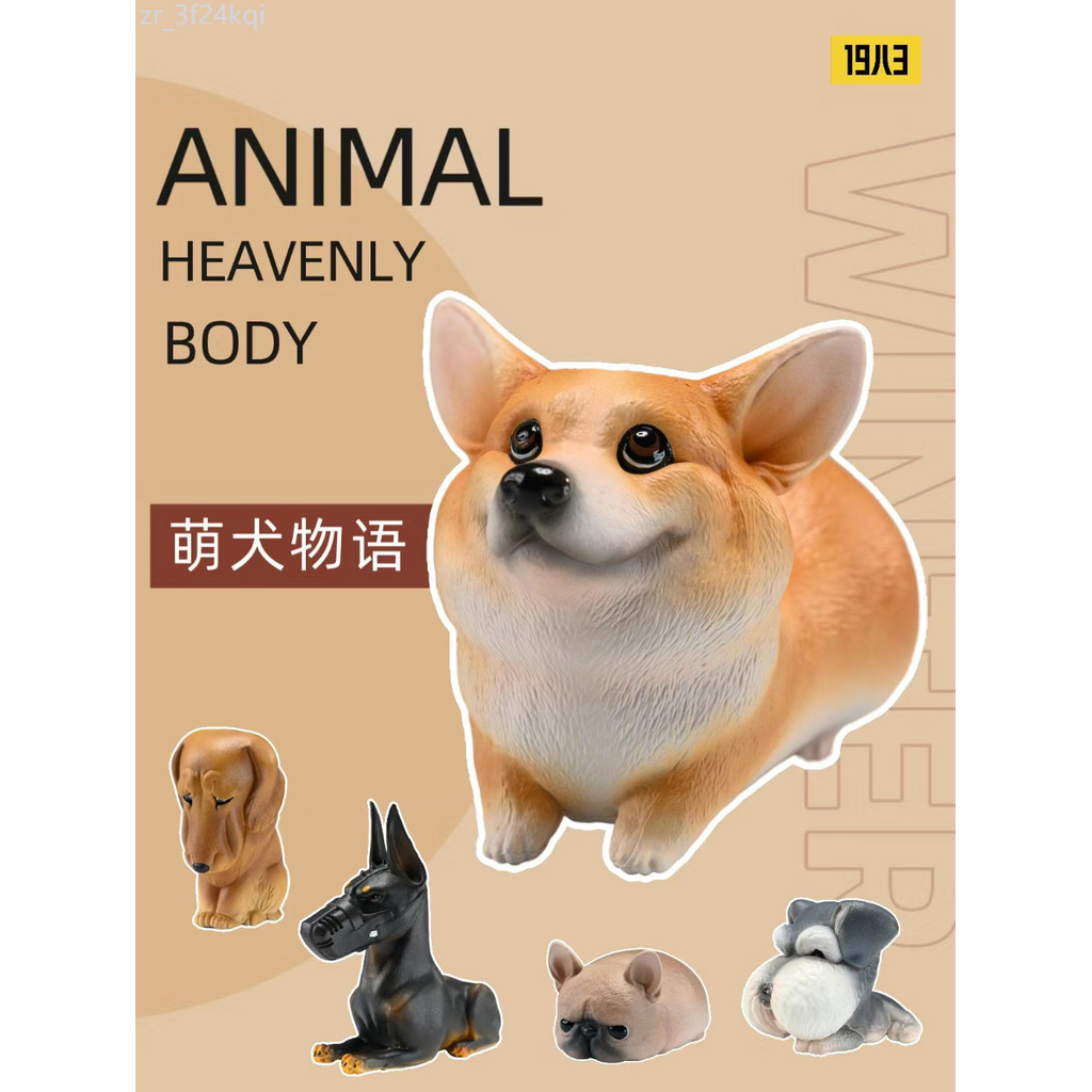 ❤📲 Animal Planet x Cangming Studio Cute Dog Story Series Blind Box Corgi Dog Ornament Figure Cute