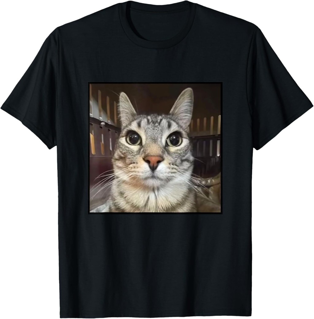 เสื้อยืด Silly Staring Cat Meme