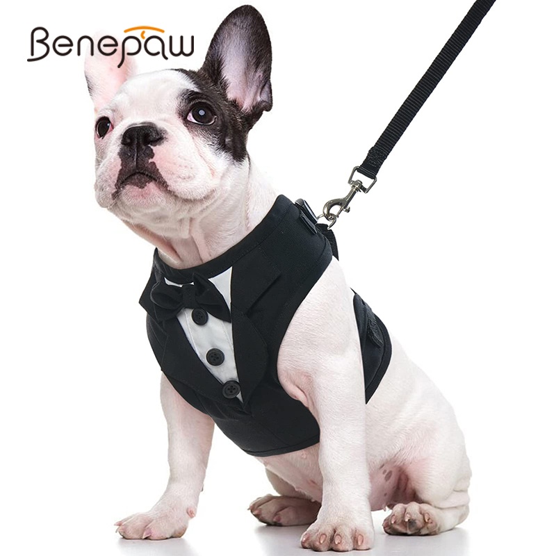 Benepaw ชุดสายจูงสุนัข ทักซิโด้ แบบนิ่ม ผ้าตาข่าย ระบายอากาศ สําหรับหมั้น วันเกิด วาเลนไทน์
