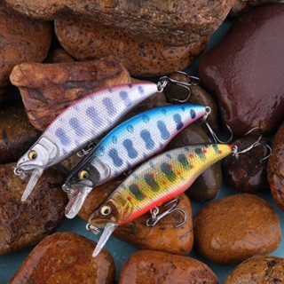 Walk Fish เหยื่อตกปลาเทราท์ ปลาซิเบส แบบแข็ง 70 มม. 7.7 กรัม…