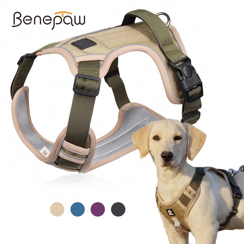 Benepaw เสื้อกั๊กสะท้อนแสง 4 ทาง ปรับได้ สําหรับสุนัขขนาดเล็ก กลาง ใหญ่
