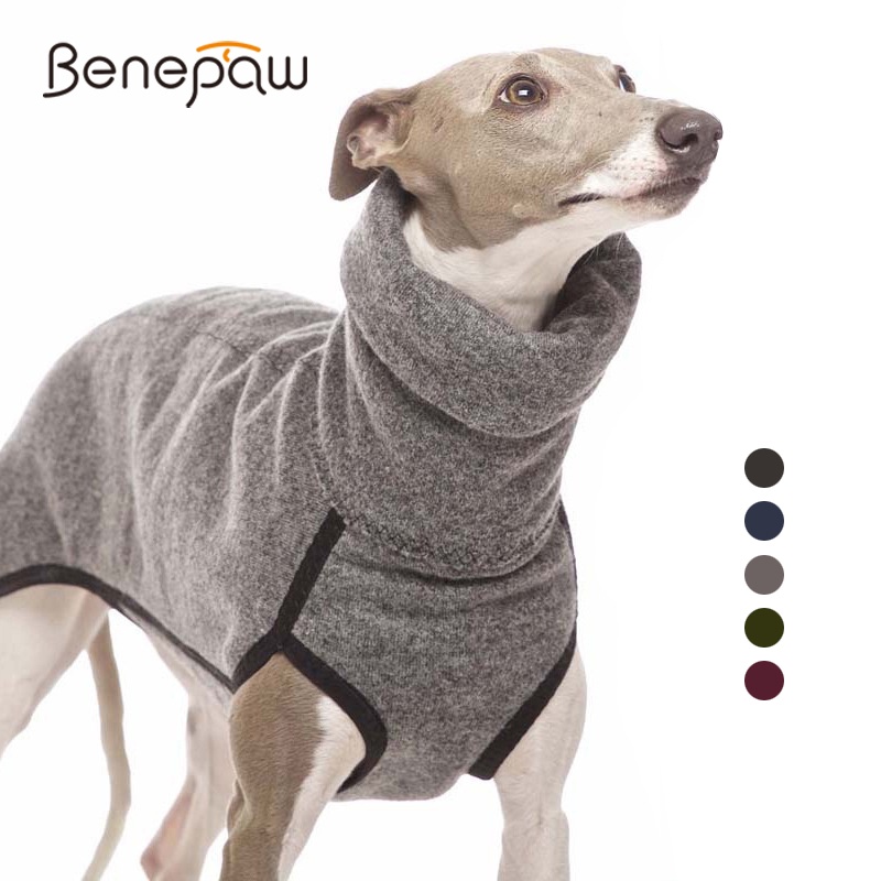 Benepaw เสื้อแจ็กเก็ต คอสูง ผ้าฟลีซ แบบนิ่ม ให้ความอบอุ่น ทนทาน ฤดูหนาว สําหรับสัตว์เลี้ยง สุนัข ขนาดเล็ก กลาง ใหญ่