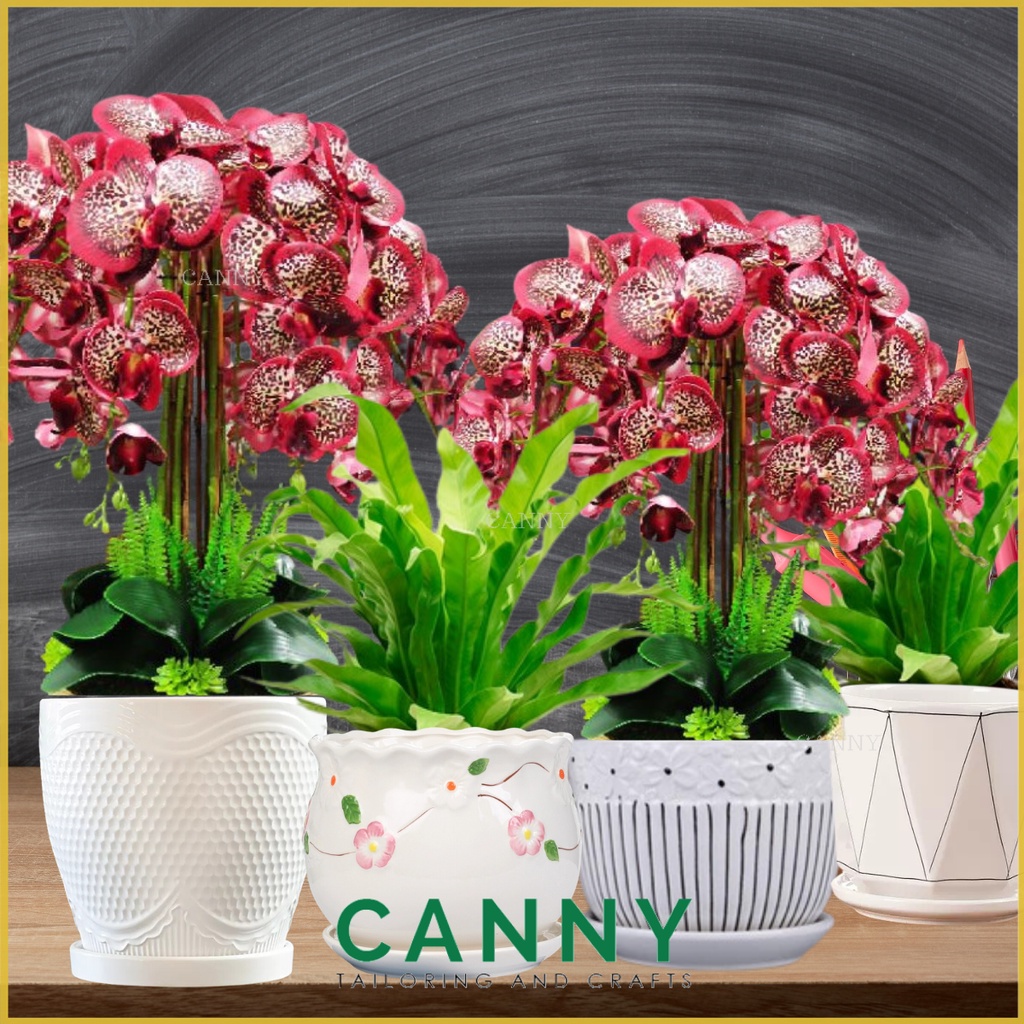 Pasu Orkid / Pasu Bonsai Size Kecil / Pasu Ceramic / Pasu Orkid / แจกันเซรามิก