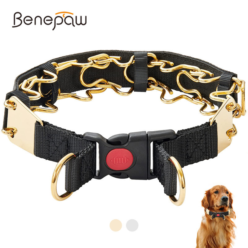 Benepaw ปลอกคอสเตนเลส ปรับขนาดได้ ขนาดใหญ่ สําหรับฝึกสุนัข
