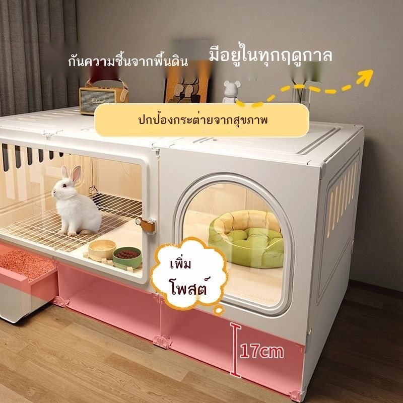 รูปภาพ 6