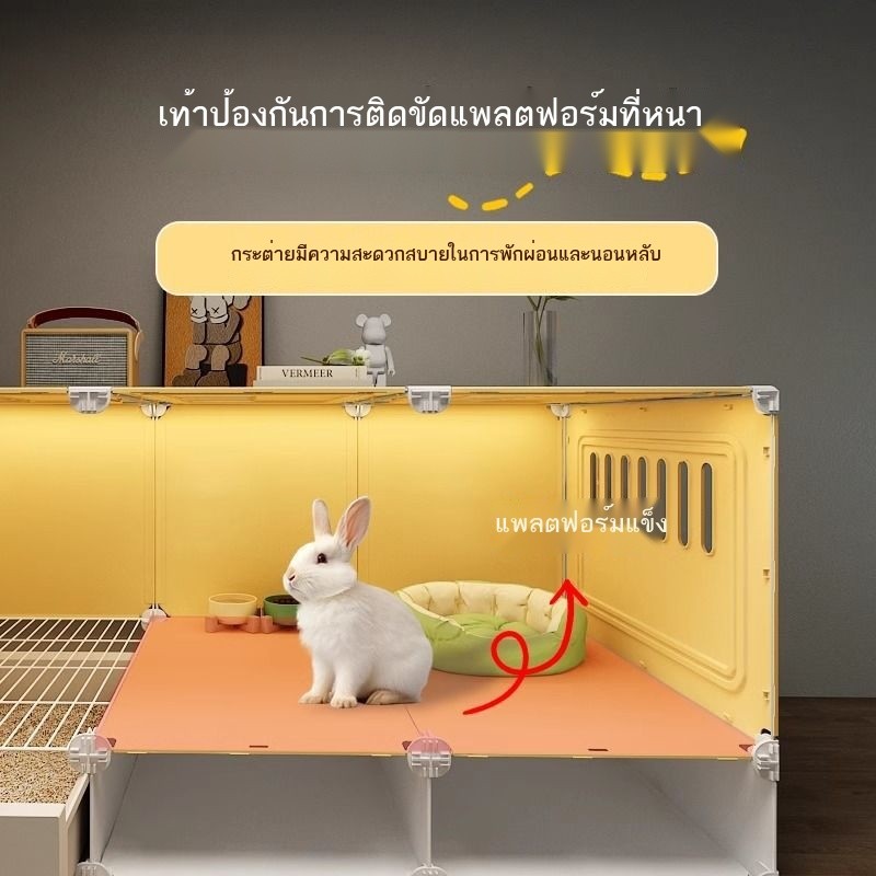 รูปภาพ 5