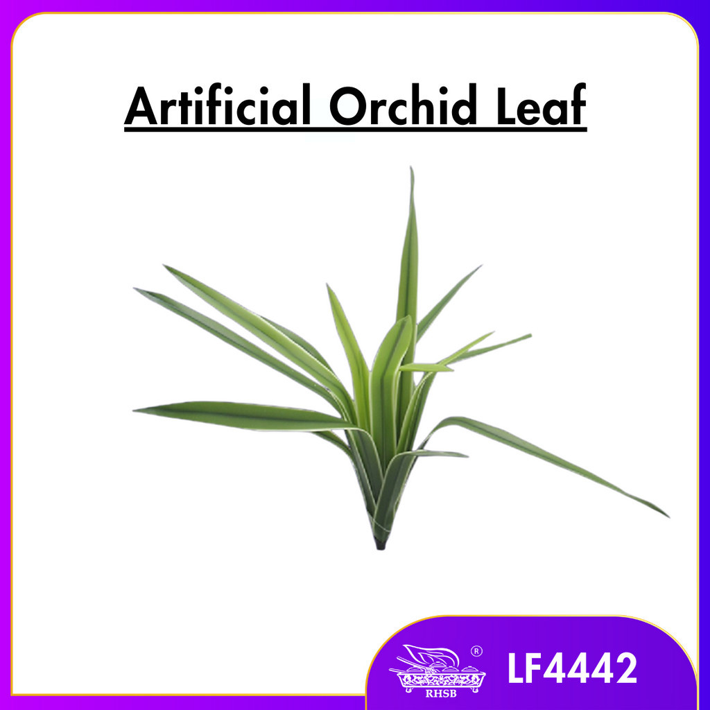 โล๊ะ !! DAUN PANDAN / ใบ ORCHID / ใบ ORCHID ยาว / น้ํายาง OrchID / LF4442