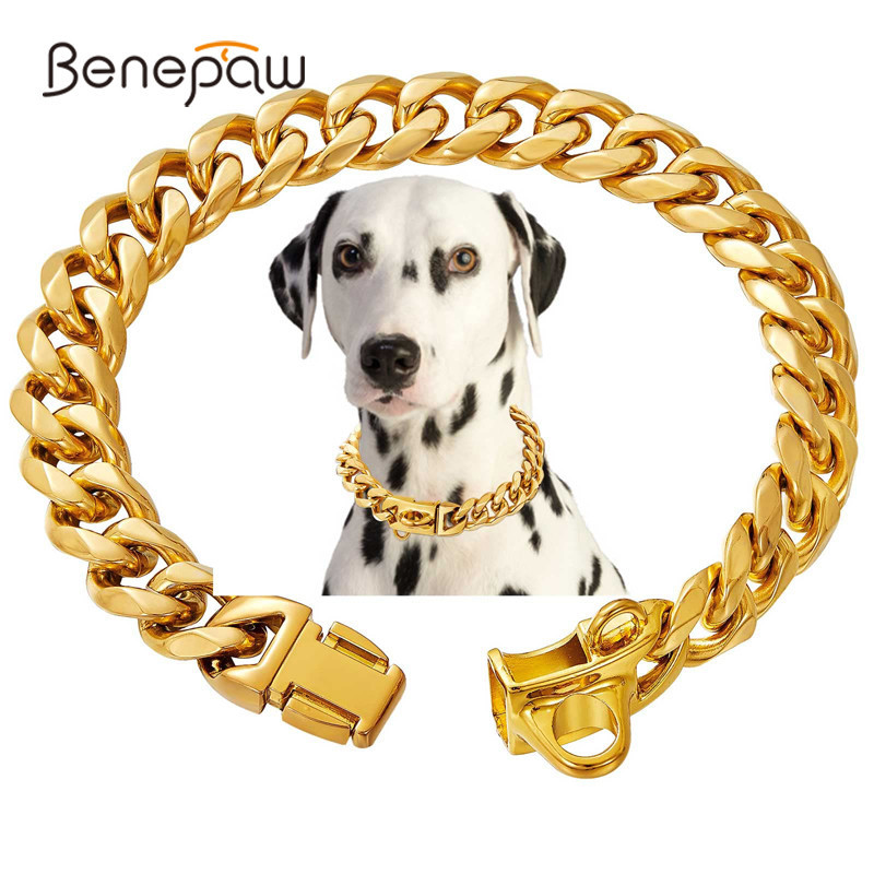 Benepaw ปลอกคอสเตนเลส โลหะ สีทอง หนา 14 มม. สําหรับสัตว์เลี้ยง สุนัข แมว ขนาดเล็ก กลาง ใหญ่