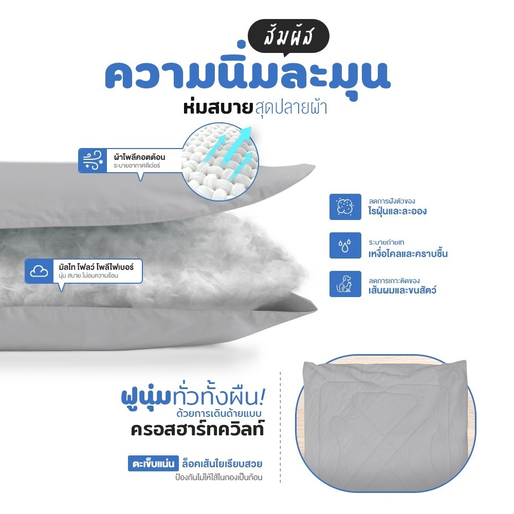 🔥การประกันคุณภาพ🔥 Siamlatex ผ้าห่ม Blanket Glada ผ้าห่มเย็น ผ้านวม ระบายอากาศ เก็บความอบอุ่นได้ดี