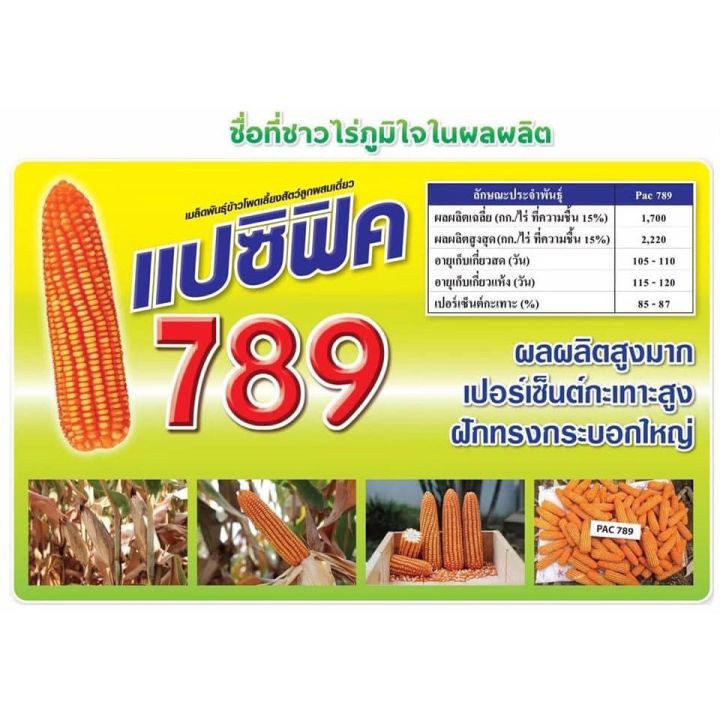 🔥การประกันคุณภาพ🔥 เมล็ดพันธุ์ ข้าวโพดเลี้ยงสัตว์ 789แปซิฟิค ถุง 5 กก สีสวย ได้ผลผลิตสูง ฟักใหญ่ แ