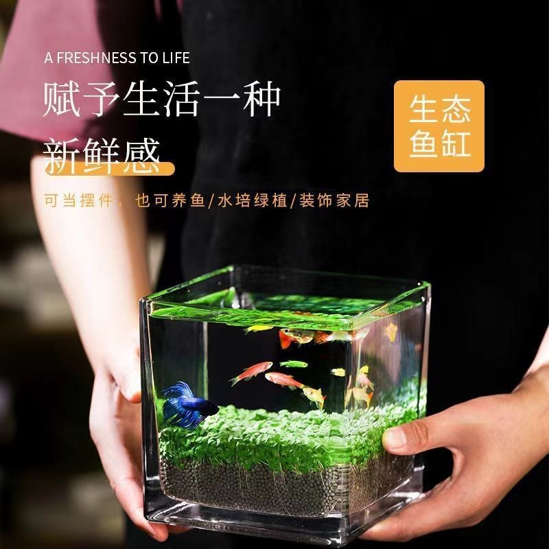 GoHome DIY Creative Ecoological ถังปลาขนาดเล็กแจกันแก้วโปร่งใส Hydroponic พืชกระถางพืชน้ํา Four Seas