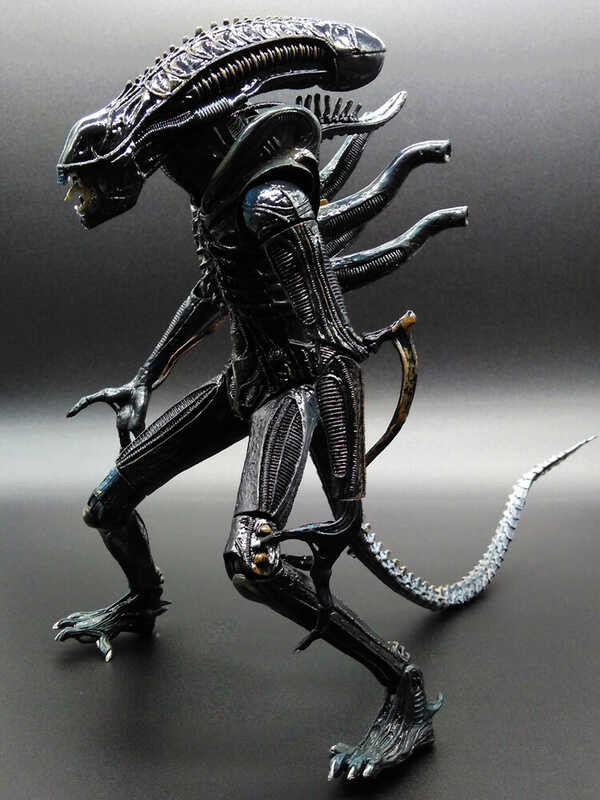 Alien NECA Action Figure Aliens Xenomorph Warrior Blue Predators Riple Action Figure NECA Model To s