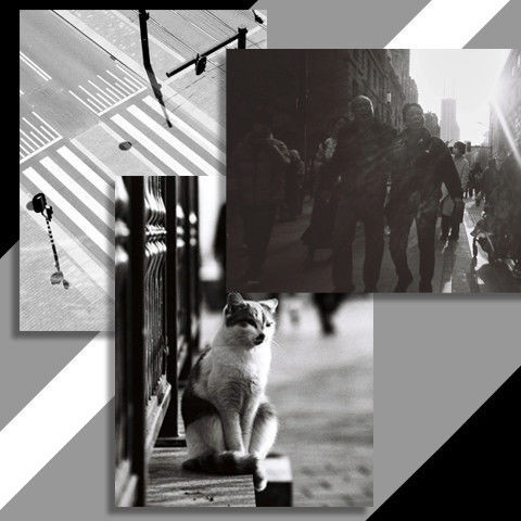 ฟิล์ม Ilford PAN100 ขาวดำ ฟิล์ม ILFORD 135 ฟิล์ม 2027.1 ภาพถ่ายนำเข้าต้นฉบับของอังกฤษ