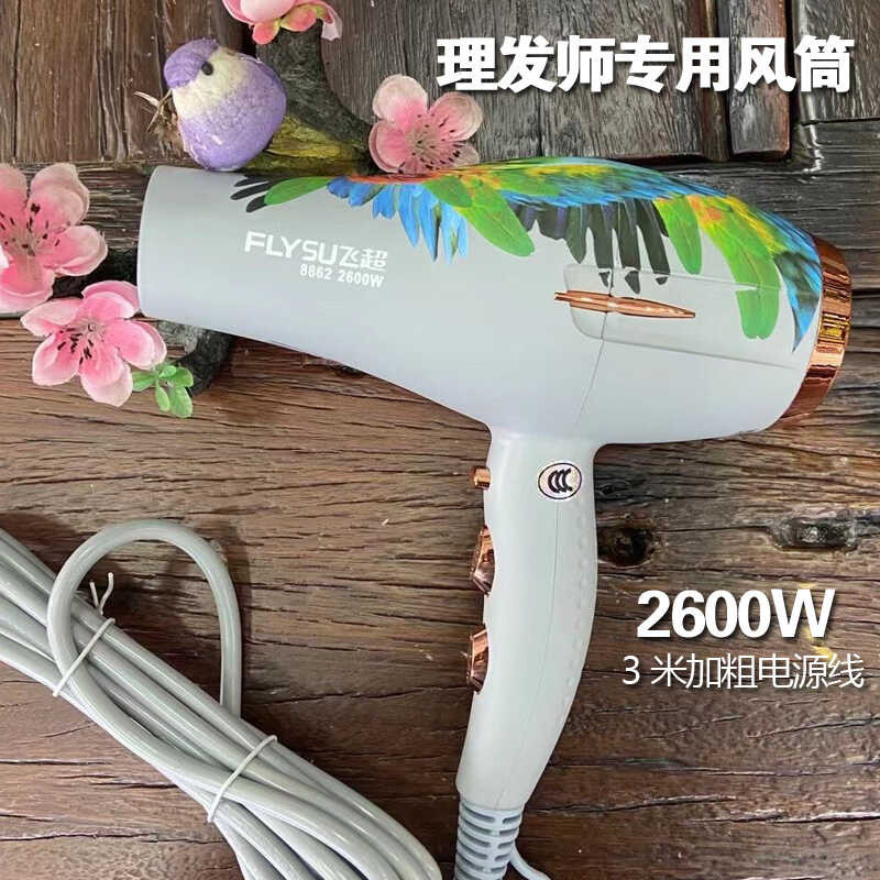 ไดร์เป่าผมไฟฟ้าสำหรับร้านตัดผม2600วัตต์ไดร์เป่าผมพล