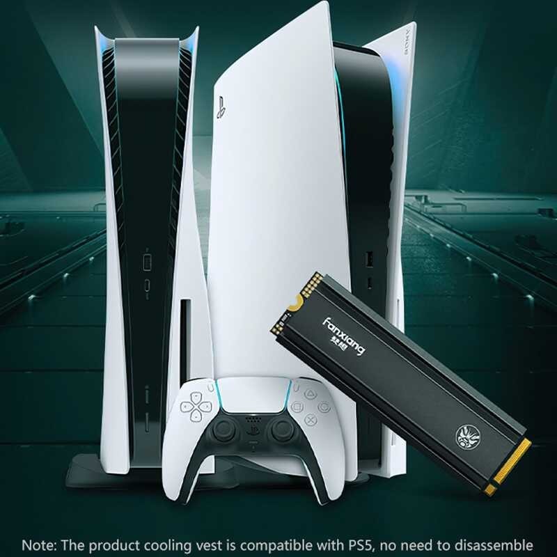 1Tb FANXIANG 500GB 2Tb 4Tb M2 Pcie 4.0 X4 M.2 2280 Nvme SSD Drive Internal Solid State Disk For PS5