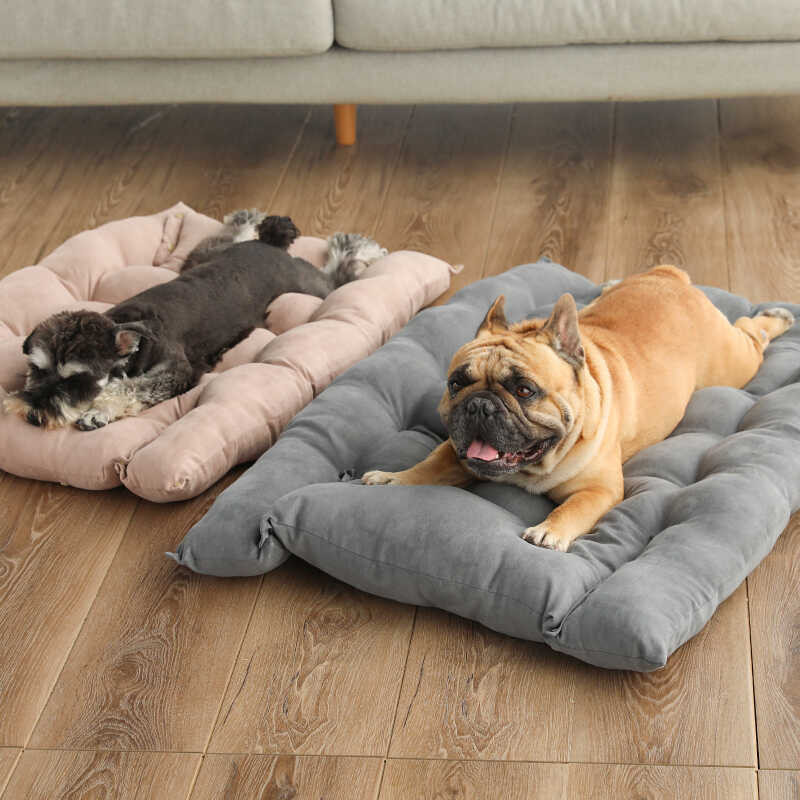 สัตว์เลี้ยง เตียงนอนสุนัขสำหรับบ้านในร่มอุปกรณ์เสริมส เตียง