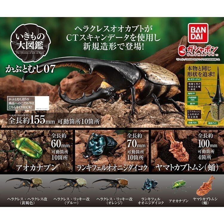 ของเล่น Vivi ของเล่น Vivi Bandai Biological Illustrated Book Beetle 07 Long Halberd Big Beetle Double-pined Rhinoceros Capsule ของเล่น 250528
