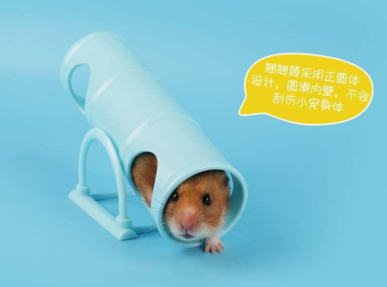 Hamster Snatch Bucket, Seesaw Board, Slide Hamster Fun Fun Fun Toy, Hamster Seesaw Bucket, Hamster