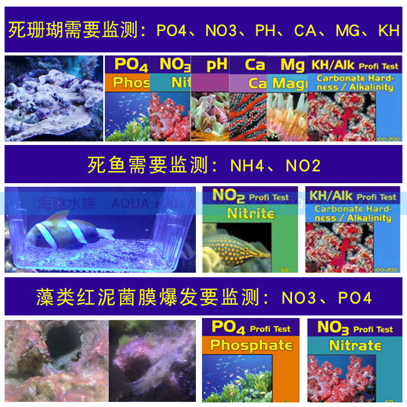Slifert Salifert Salifert Salifert Test Agent แคลเซียม Ca Magnesium Mg KH PO4 NO3 NO2 PH น้ําทะเลรีเ