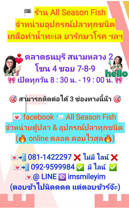 SUMA &Gt; Set คู่ ปลากัด สายกัด 3D แดง) + (Fight 4G ม่วง)