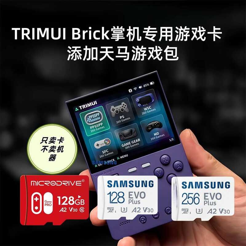 TRIMUI BRICK การ์ดเกมเฉพาะแบบใช้มือถือพร้อมแพ็คเกม Pegasus GBA P