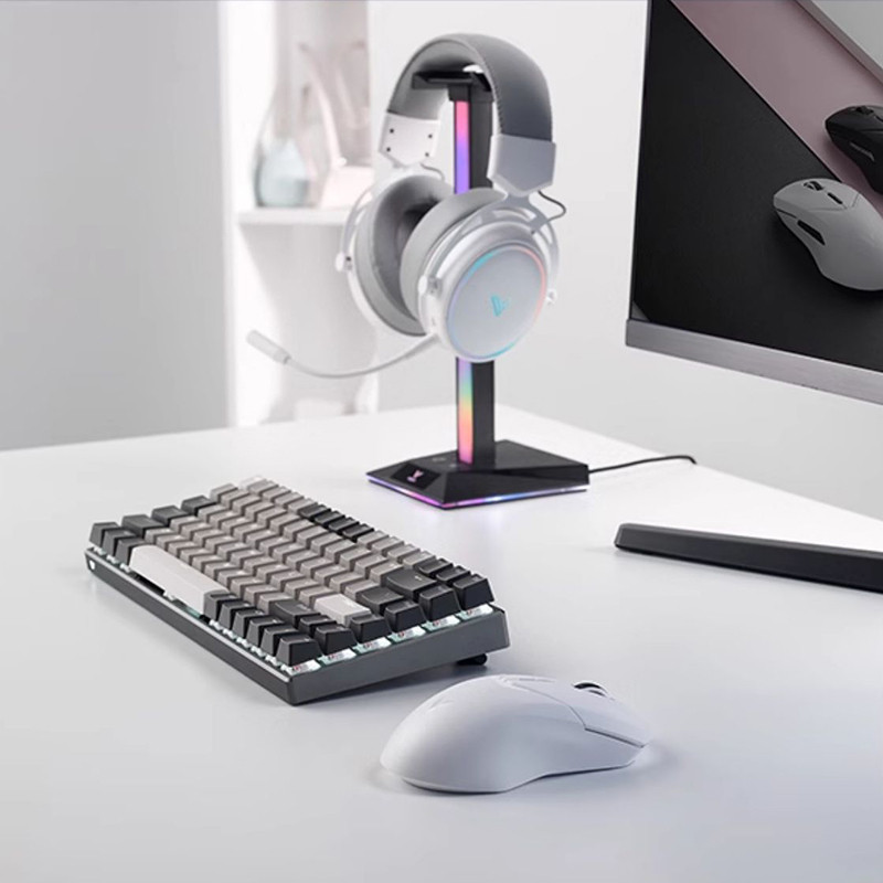 เมาส์สำหรับเล่นเกมส์ไร้สาย Rapoo Vt9pro เกรด68g, Mouse komputer Paw33