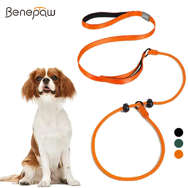 ​​Benepaw 2-in-1 Slip Leash สําหรับสุนัขปรับไม่มีดึงสายจูงการฝึกอบรม & Collar Combo 1.7m เชือกไนลอน Dual เบาะจับสําหรับขนาดเล็กขนาดกลางขนาดใหญ่​​