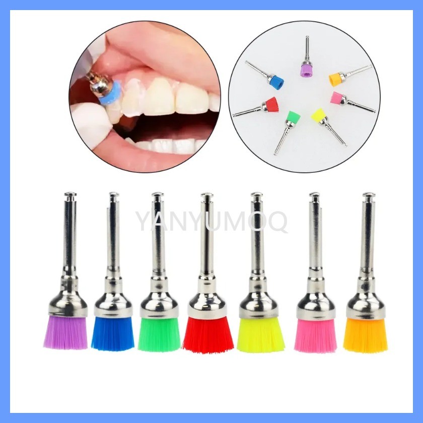 A Dental Material Bowl Shape Brush Dental Prophy Brush Nylon Polishing Brush Dental Use 50/100/200P