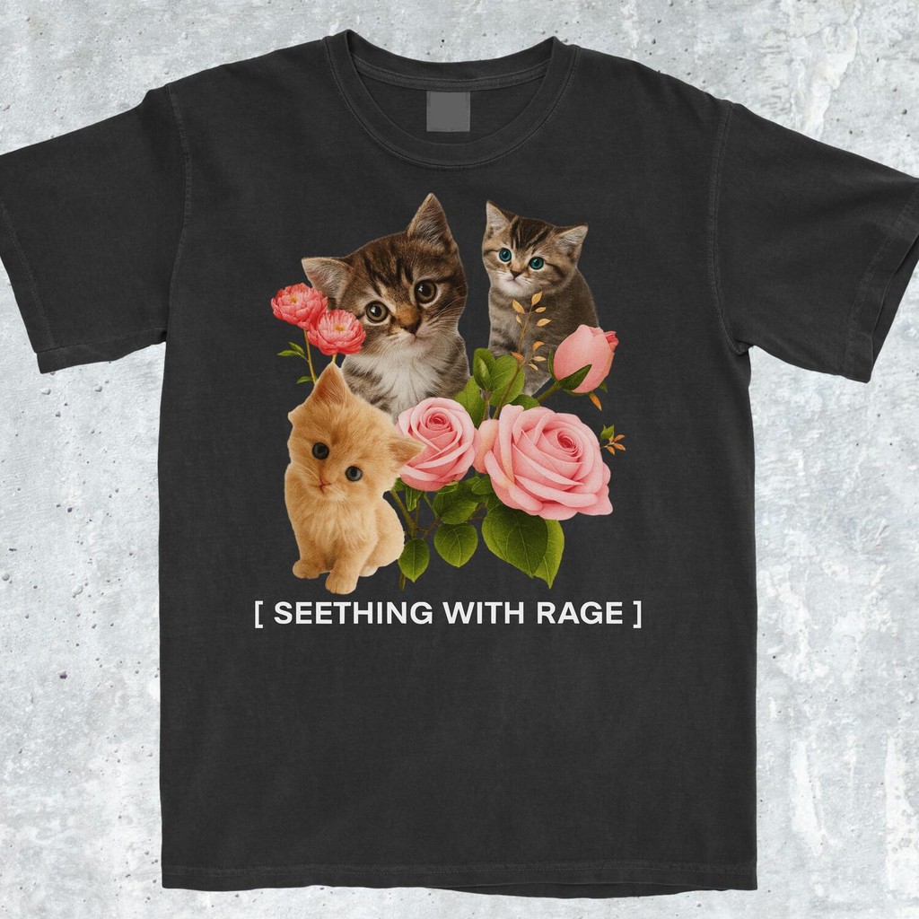 ตลก Seething กับ Rage Cat Meme เสื้อตลก Meme เสื้อยอดนิยม Meme เสื้อ Viral Meme เสื้อ Offensive เสื้