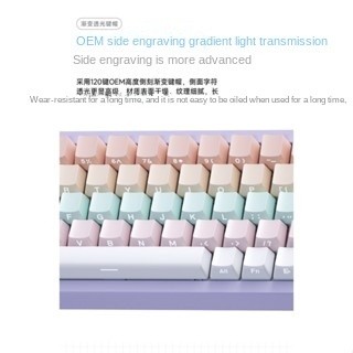 Xinmeng M71 คีย์บอร์ดเมคคานิคอล RGB สามโหมด