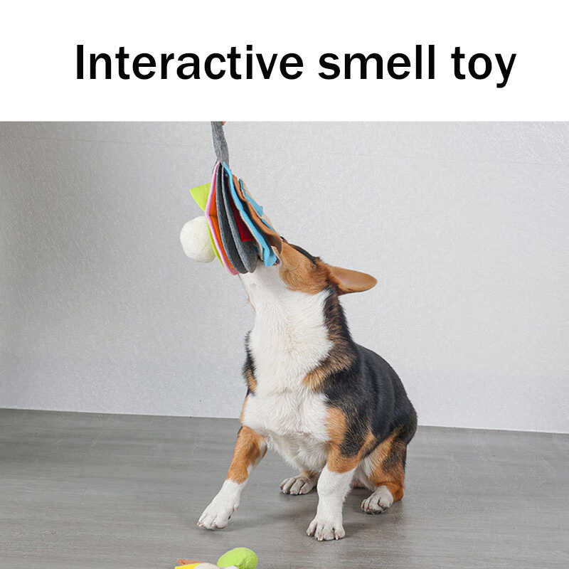 ❤ Squeak Slow Dog Toy Molar Improve IQ Pet Interactive Training Dogs Games Sniffing Food Toys