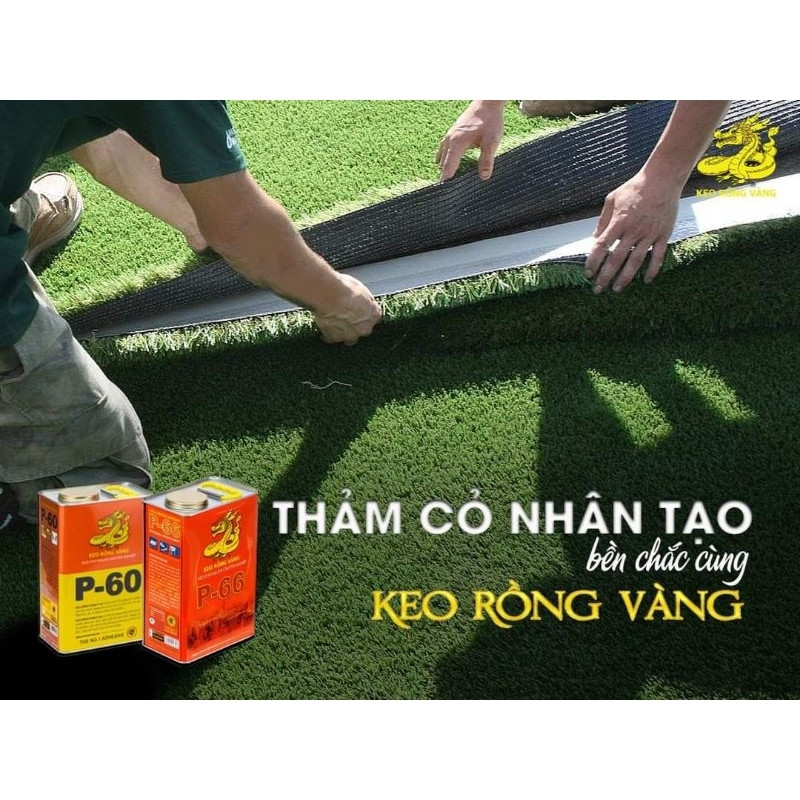 กาวหนังเฉพาะ P66 กาวอเนกประสงค์ กาวมังกรทอง P66 (สําหรับกาว) กาวติดรองเท้า