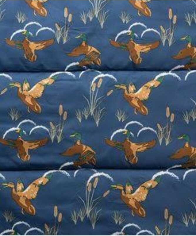 ถุงนอน Coleman Cozy II C10