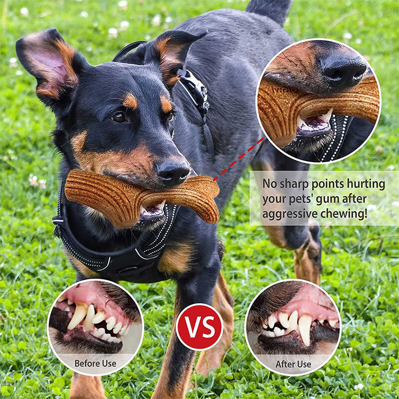 Dog Gigwi Chew Toy ผงไม้เนื้อแข็ง PP Dog Interactive Toy Dog Chew Toy