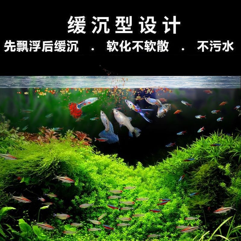 hot🔥การประกันคุณภาพ🔥 Fish Feed Betta Small Tropical Fish Small Fish Ornamental Fish Fish Food Zeb