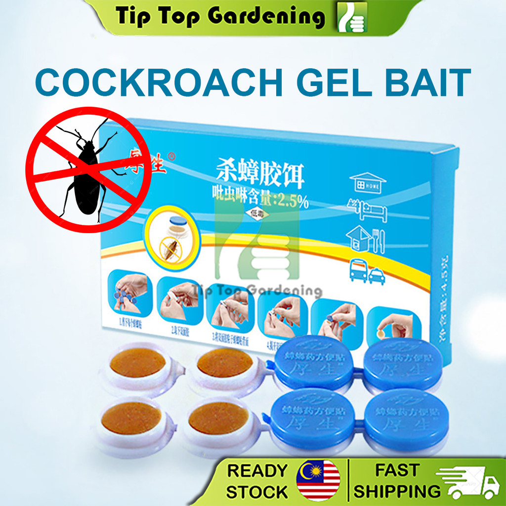 HOUSHENG Cockroach Gel Bait Cockroach Killer Ubat Racun Lipas 厚生杀蟑螂药