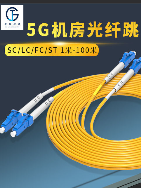 Telecom เกรด Optical Fiber Jumper LC-SC-FC Single Mode Dual Core 1/2/3/5m/10m 100m Tail Fiber 2.0-3.