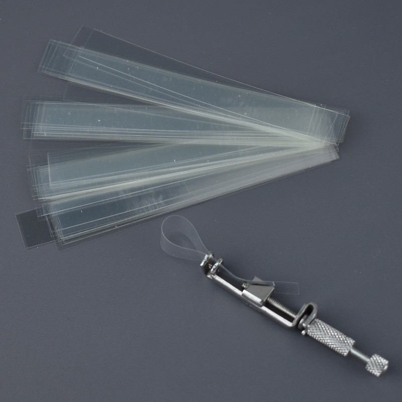 100 ชิ้นทันตกรรม Matrices โพลีเอสเตอร์ Matrix Bands Interdental Spacer วัสดุทันตกรรม