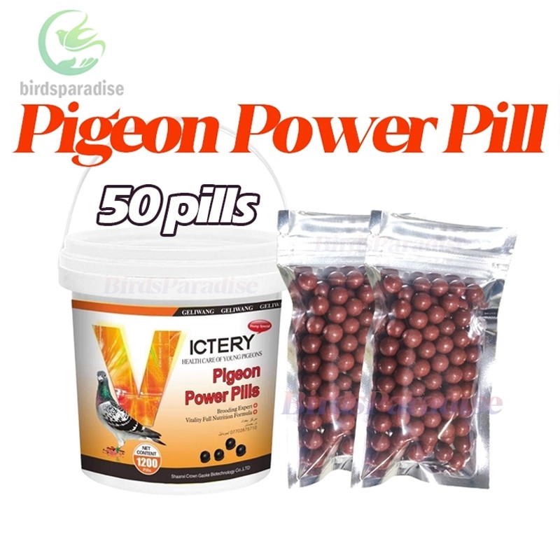 50/100/250pills Victery Power Pill สําหรับ pigeon racer kalapati อาหารเสริมโภชนาการบรรจุใหม่